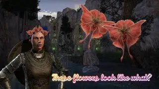 Did Georgia O'Keeffe paint these flowers? Isobel joins the team - Elder Scrolls Online MASTER SERIES