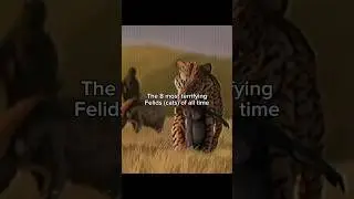 8 Most Terrifying Big Cats Of All Time 