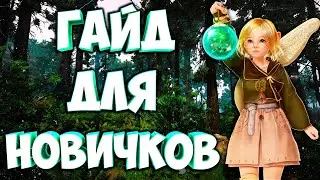 Black Desert Mobile Global Гайд Для Новичков