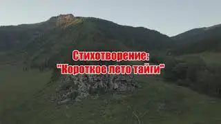 Серия стихи ру, стихотворение 