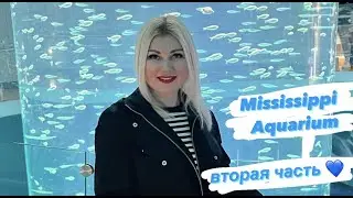 АКВАРИУМ 🐠 ОКЕАН 🐬 и МОРЕ ВПЕЧАТЛЕНИЙ 🥰☺️ вторая часть