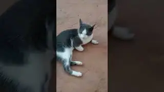 Look at this 