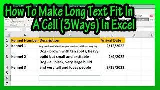 How To Make Long Text Fit In A Cell (3 Ways - By Shrinking Or Wrapping Text) In Excel Explained