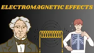 Electromagnetic Effects | Animation