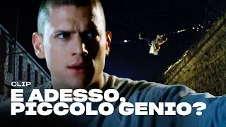 Inizia la FUGA da FOX RIVER | Prison Break