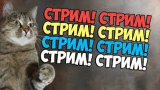 Тетя Чуня СТРИМ!😺23.10.2021