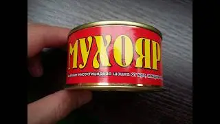 ИСПЫТАНИЯ ДЫМОВОЙ ШАШКИ ПРОТИВ ЗЛА ПРИРОДЫ!))