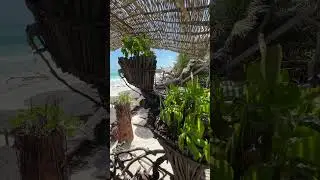 Amazing Beach Club in Tulum Mexico 