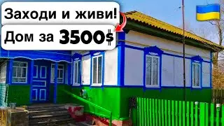 🇺🇦 Заходи и живи! Дом в селе за 3500$ Продажа Недвижимости за Копейки Всё есть. Уютное Тихое Село.