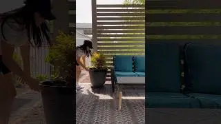 ad How I built a Easy DIY Privacy Screen using the 