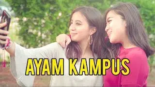 Ayam Kampus, Tipsen, Prospek MLM dll (Tipe2 Mahasiswa)
