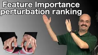 Feature Ranking in Keras and Scikit-Learn: Perturbation Ranking