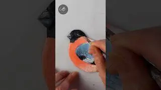 QUICK Tutorial! 3D Bullfinch on Canvas | AB Creative 