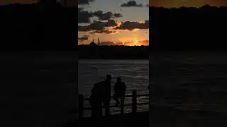 İnsanlar tuhaf yaratıklardır...