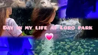 Day in my life at LORO PARK