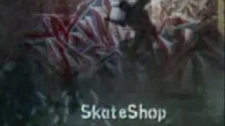 Brian Bright - Gangsta (THPS 3 Skate Shop Music)