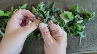 Vines and Bushes for Moss Embroidery Wildscapes (with a Tali cameo) and Giggles