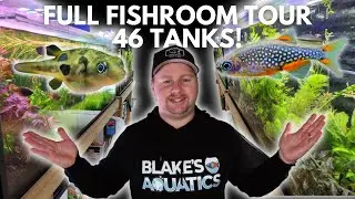 Blakes Aquatics Full Fishroom Tour - 46 Aquariums with Bettas, Shrimp, Dwarf Cichlids and More!