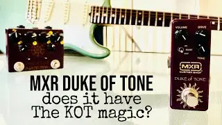 MXR DUKE OF TONE DRIVE Does it have the KOT Magic?