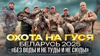 Охота на гуся в Беларуси 2025