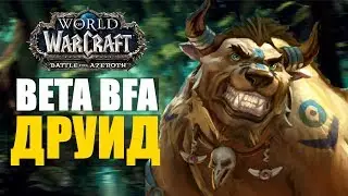 BETA BFA ● БОЛЬШОЙ ОБЗОР ДРУИДОВ