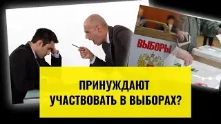 Принуждают участвовать в выборах? Знай свои права!