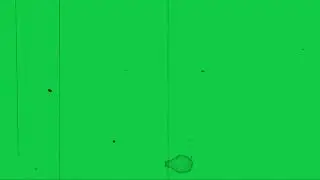 Aesthetic Overlay Green Screen | VHS | old film grain overlay | scratches