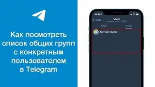 Как посмотреть список общих групп с конкретным пользователем в Telegram