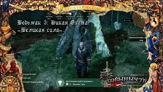 Ведьмак 3: Дикая Охота. Достижение 