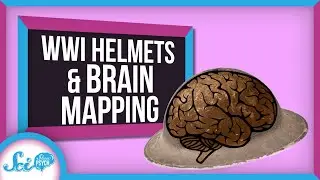 How Bad Helmets Gave Us a Map of Vision