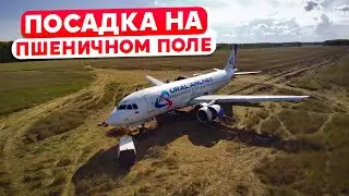 Посадка на пшеничное поле 