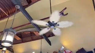 Kichler Palm Leaf Ceiling Fans at a Mini Golf Course