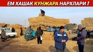 ЕМ ХАШАК КУНЖАРА КЕПАК СИЛОС НАРХЛАРИ 2024 СИЗ КУТГАН ВИДЕО !!! ХОРАЗМ БОЗОР