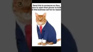 Send it #producer #producermemes #jerktypebeat #jerkbeat #meme #yhapojjtypebeat #cat #catvideos