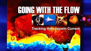 Going with the Flow - Tracking the Leeuwin Current