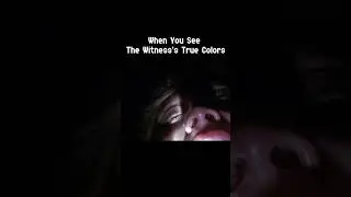 When You See The Witness's True Colors in Destiny 2
