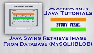 Java Swing Retrieve Image From Database (MySQL) as BLOB - StudyViral