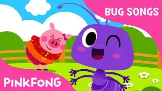 Ants in My Pants | Bug Songs | PINKFONG Songs