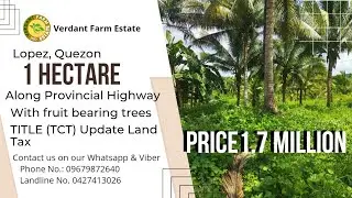 #16A-412 | Along Provincial Road | TCT title | With Fruitbearing Trees | Lopez Quezon