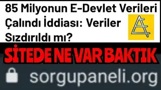 Sorgu paneli E devlet verileri çalındı  mı  ? Web sitede ne var nasıl  girilir sorgupaneli.org