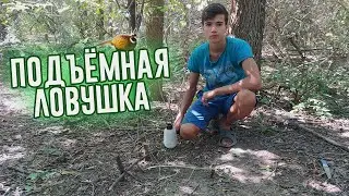 ПОДЪЁМНАЯ ЛОВУШКА НА ФАЗАНА!!!