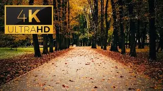 4K Ultra HD | Ukraine | Autumn Walking In ThunderStorm | Binaural Rain | ASMR | Sleep and Study