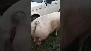 На прогулке.