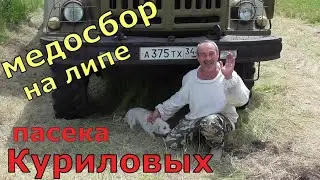 По всем пасекам леса / пасека Куриловых / Один день из жизни пчеловода.