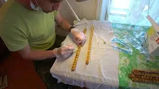 КАК СОБРАТЬ МАТОЧНОЕ МОЛОЧКО У ПЧЁЛ И ХРАНЕНИЕ ЕГО.