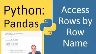 How to Access Rows by Name in Pandas (Python)