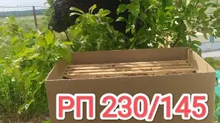 РУТ-ПАКЕТ -- пакет для перевозки пчёл на  рамках с высотой 145 мм и 230 мм, бессотовых отводков