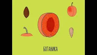 OILA - детское время за гаджетом с пользой