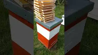 Готовимся к медосбору | Лесной Кордон