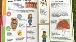 АНАТОМИЯ ДЛЯ ДЕТЕЙ. Язык и вкусовые ощущения. Читаем вслух детскую энциклопедию.